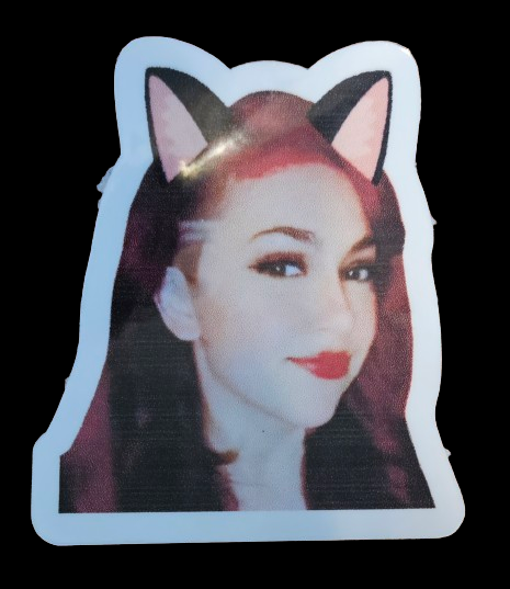 Brithephoenix (TikTok creator) stickers