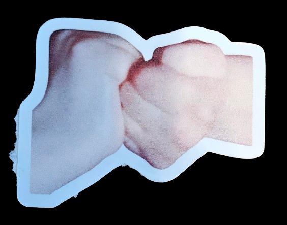 Brithephoenix (TikTok creator) stickers