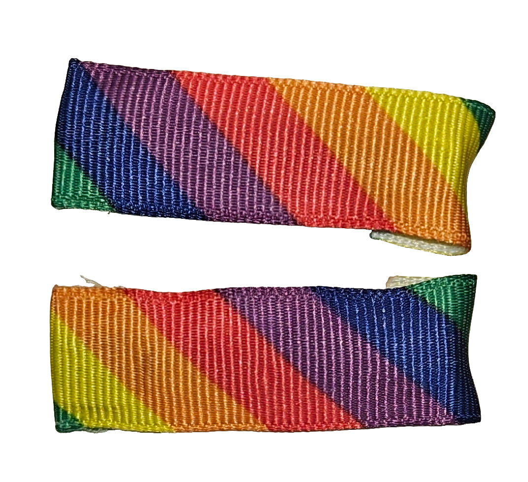 Small Ribbon Clips