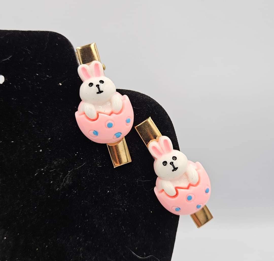 Charm Clips