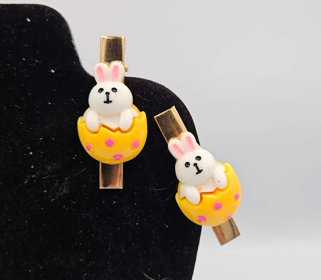 Charm Clips