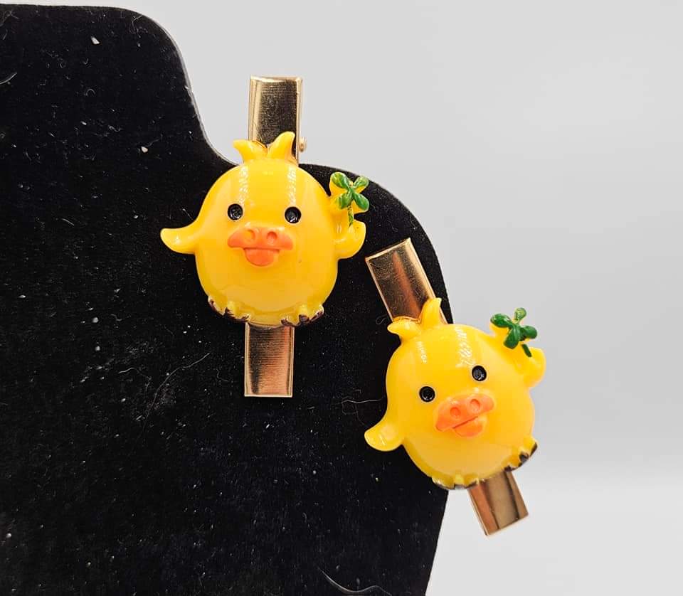 Charm Clips