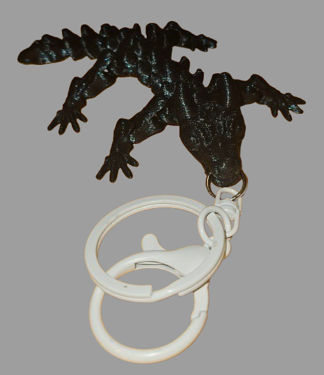 3D Printed fidget Keychains