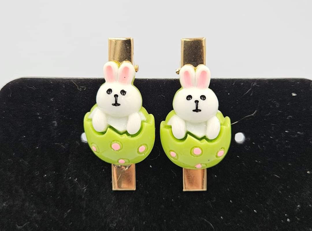 Charm Clips