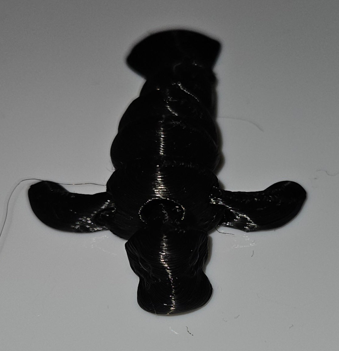 3D Printed Nano animals
