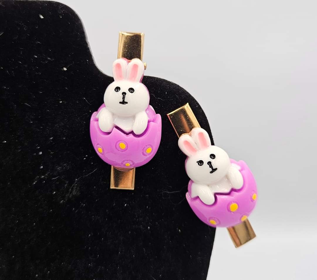 Charm Clips